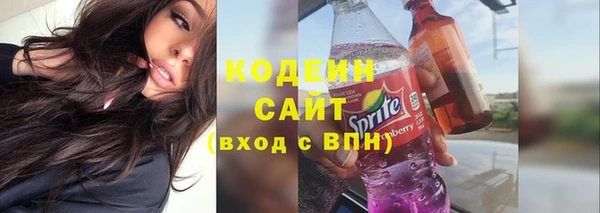 крисы Няндома