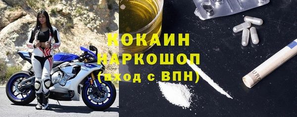 крисы Няндома