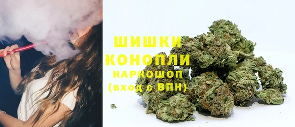 крисы Няндома