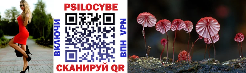 mega как зайти  наркошоп  Костомукша  Галлюциногенные грибы MAGIC MUSHROOMS 